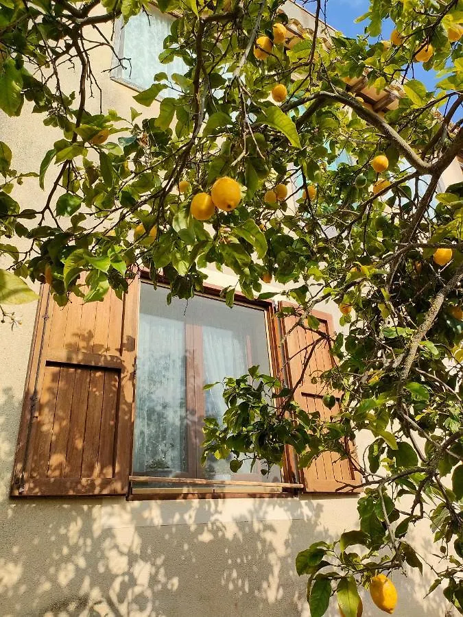 La Finestra Sul Limone Bed & Breakfast Castelvetrano