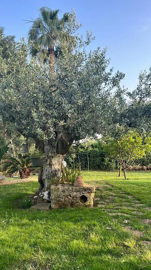 La Finestra Sul Limone Bed & Breakfast Castelvetrano Italy