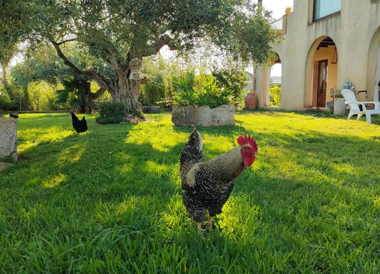 La Finestra Sul Limone Bed & Breakfast Castelvetrano